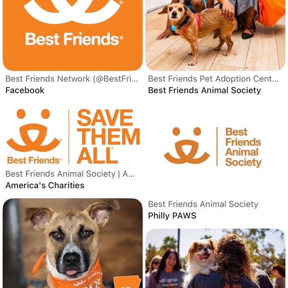 Women’s Black Softshell Jacket - Picture 6 of 6